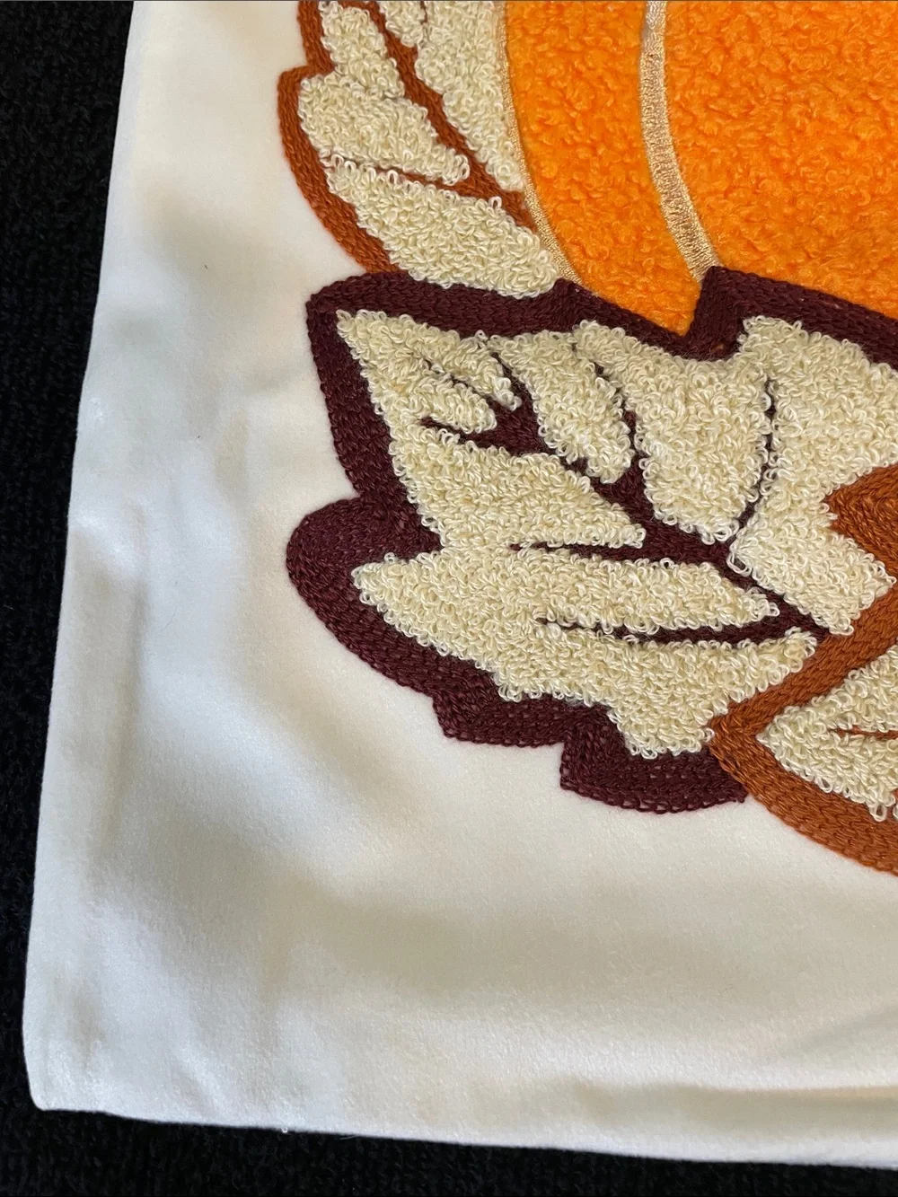Orange Pumpkin Accent Pillow Covers - Set of 2 soft nwt